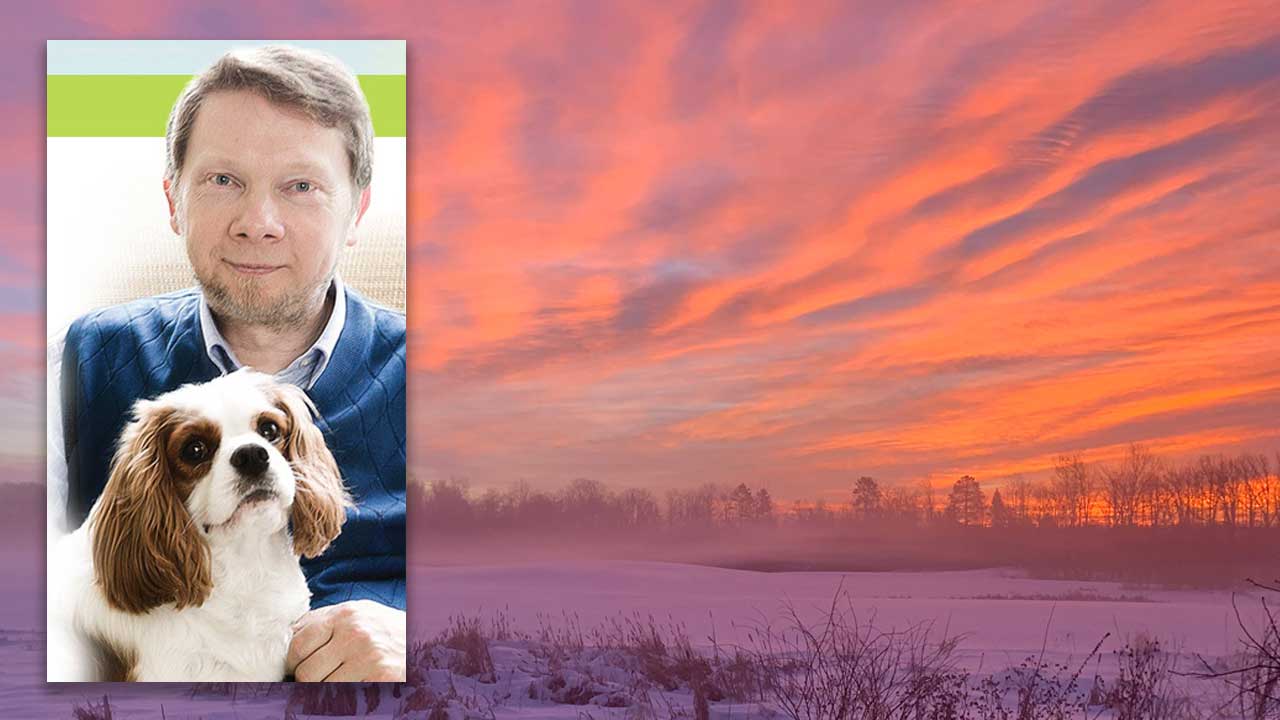 Eckhart Tolle and Dogs by Connie Wilson