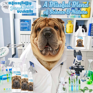 Chinese Shar-Pei Blissfully Fresh™ Face Wash
