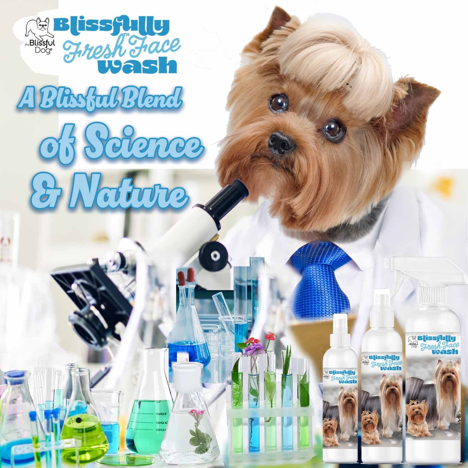 YORKSHIRE TERRIER SCIENTIST