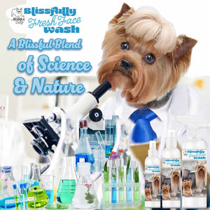 Yorkie face cleaner