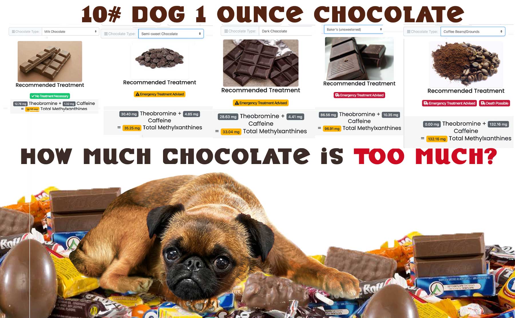 how much chocolate is bad for dogs