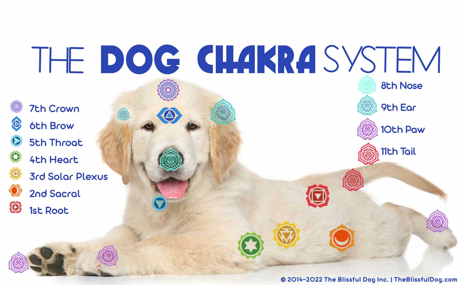 dog chakras