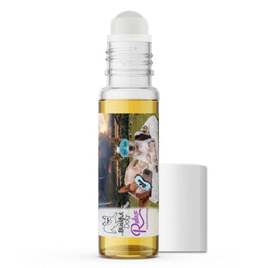 australian cattle dog separation anxiety