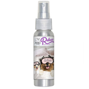 australian shepherd separation anxiety
