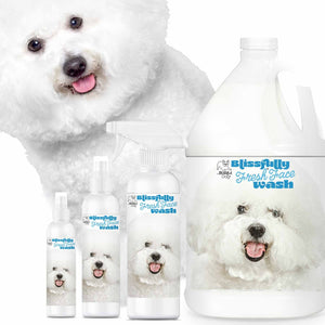 Bichon Frise face