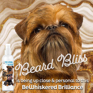 BRUSSELS GRIFFON BEARD