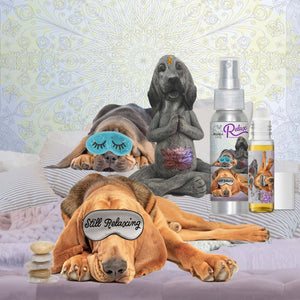 bloodhound afraid fireworks