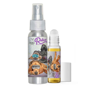 bloodhound afraid thunder