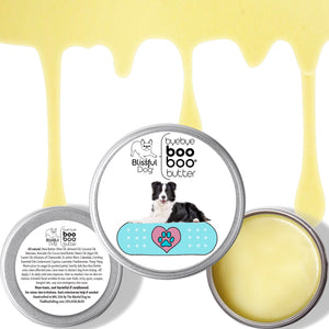 border collie itches