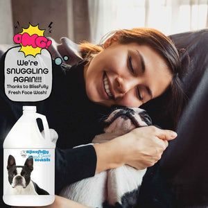 Boston Terrier care