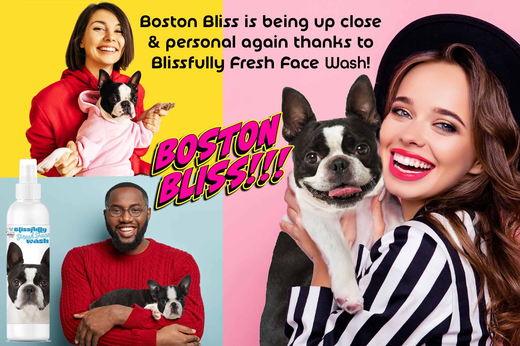boston terrier face cleaner