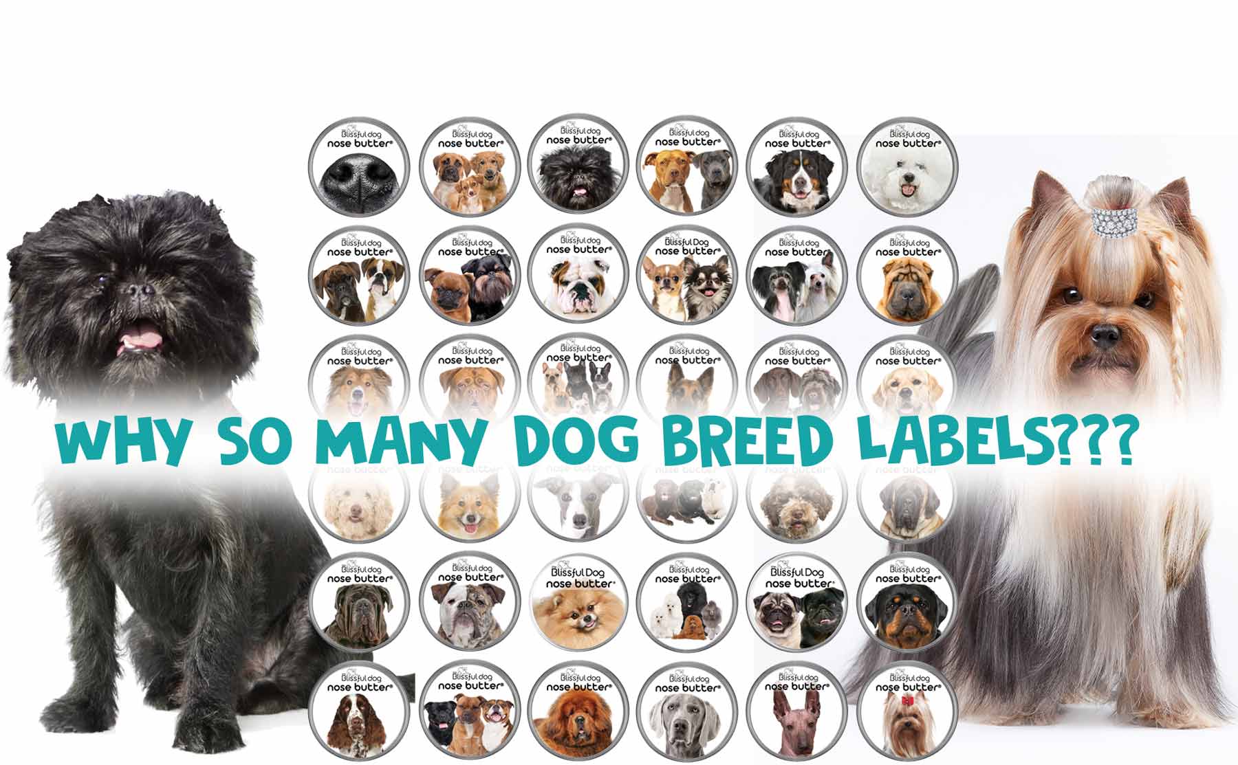 DOG BREED LABELS