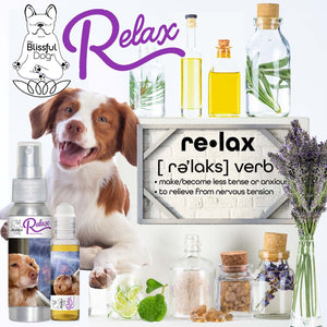 brittany relax dog aromatherapy
