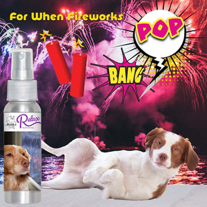 brittany dog scared fireworks