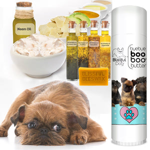 brussels griffon smooth care