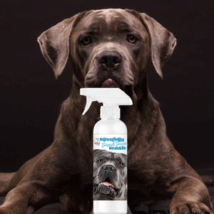 Cane Corso face cleaner