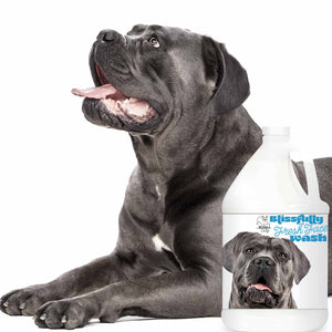 Cane Corso Blissfully Fresh™ Face Wash