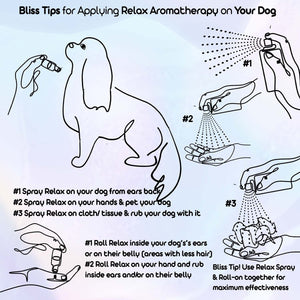 cavalier king charles spaniel aromatherapy