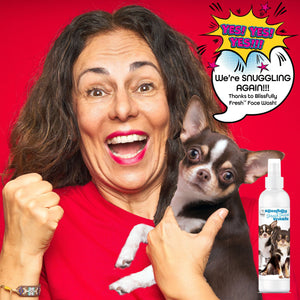 Chihuahua face care