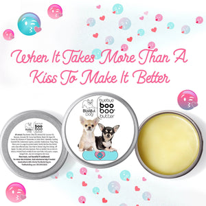chihuahua skin care
