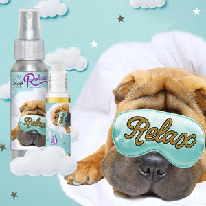 Chinese Shar-Pei anxious