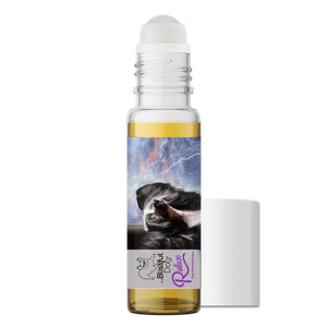 chinese crested  afraid fireworks