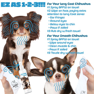 Smooth Chihuahua face care