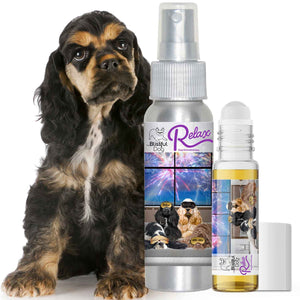 cocker spaniel calming aromatherapy