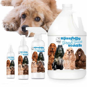 Cocker Spaniel Face Wash
