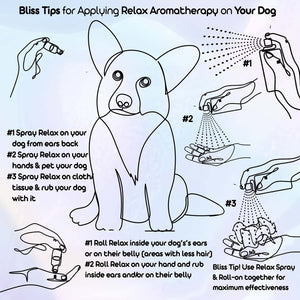 using corgi dog aromatherapy