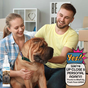 Chinese Shar-Pei face familt