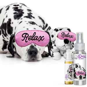 Dalmatian afraid thunder