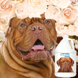 french mastiff 