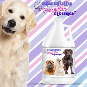 Golden Retriever Dog Ear Cleaner