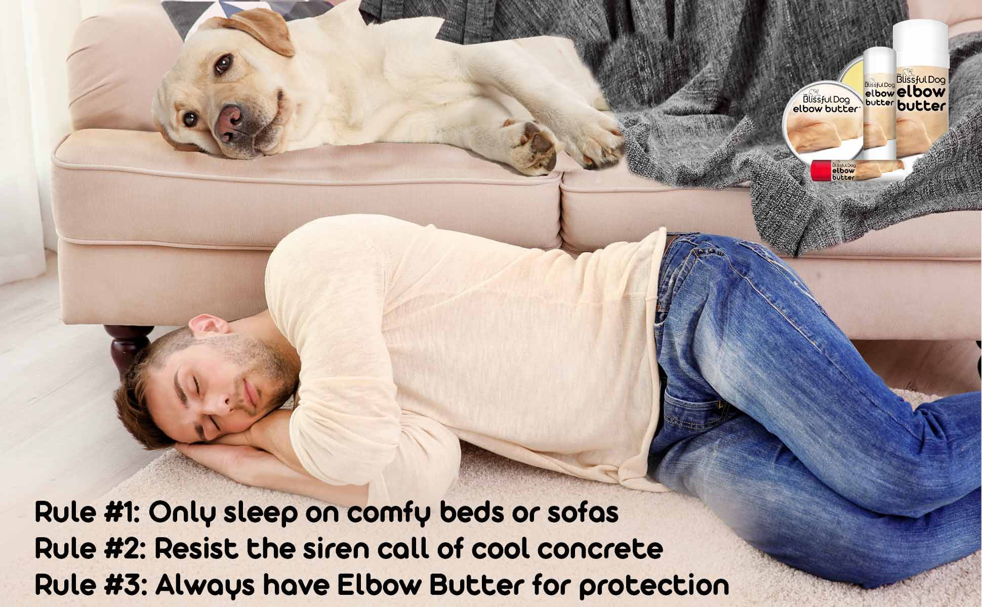 comfy dog beds