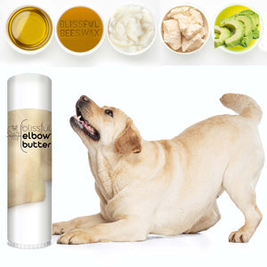 Blissful Elbow™ Butter Conditions Your Dog's Elbow Calluses