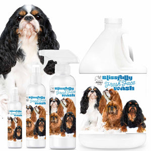 English Toy Spaniel face wash