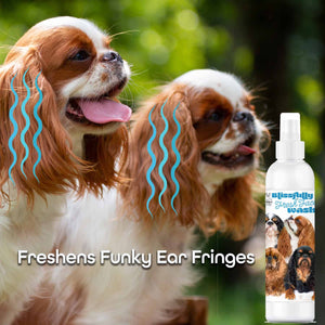 English Toy Spaniel face care