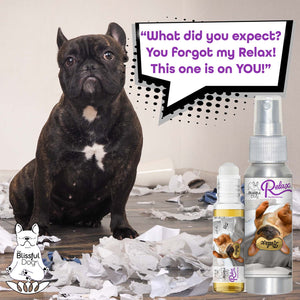 french bulldog separation anxiety