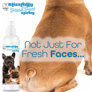 French Bulldog face care