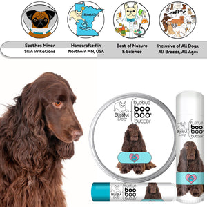 field spaniel scratches