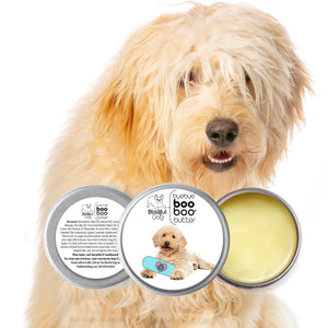 goldendoodle skin care