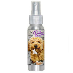 goldendoodle scared fireworks