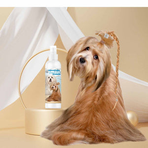 Havanese dog face wash