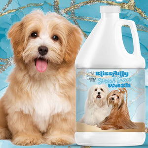 Havanese dog face cleaner