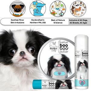 japanese chin puppy