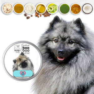 keeshond scratches