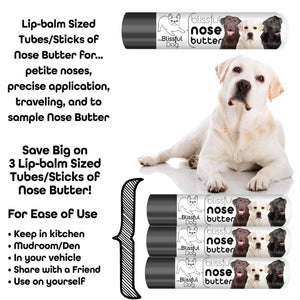 Labrador Retriever nasal hyperkeratosis