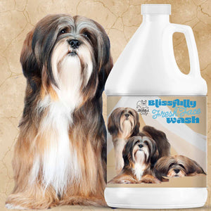 Lhasa Apso Face Shampoo