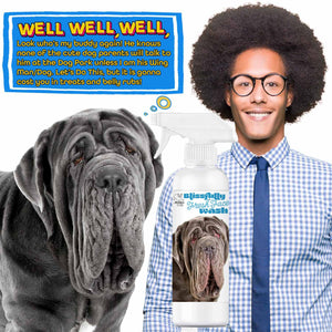 Neapolitan Mastiff face cleaner